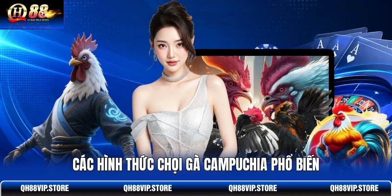 Các hình thức chọi gà Campuchia phổ biến