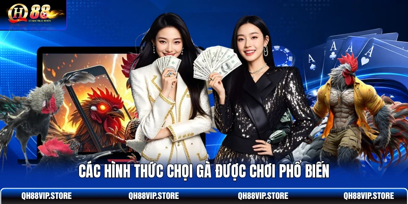 Các hình thức chọi gà được chơi phổ biến