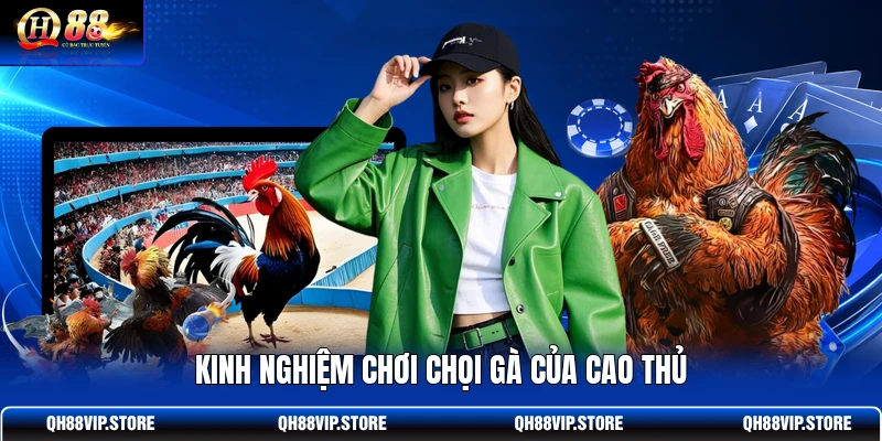 Kinh nghiệm chơi chọi gà của cao thủ