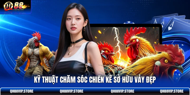 Kỹ thuật chăm sóc chiến kê sở hữu vảy đẹp