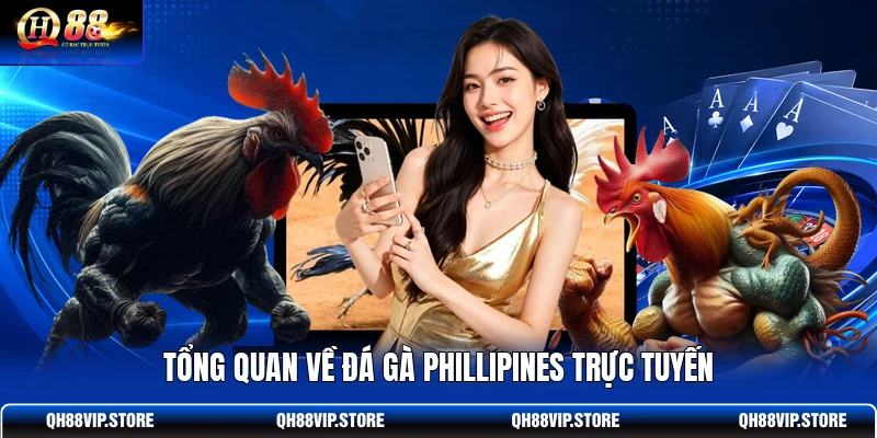 Tổng quan về đá gà Phillipines trực tuyến