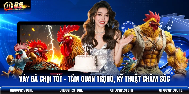 Vảy Gà Chọi Tốt – Tầm Quan Trọng, Kỹ Thuật Chăm Sóc