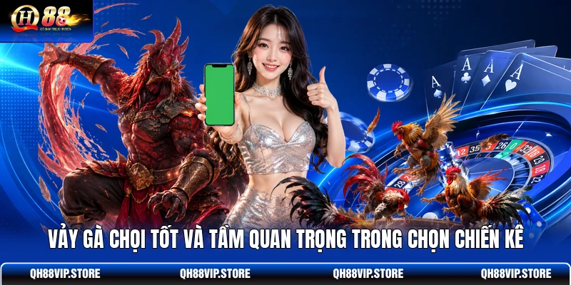 Vảy gà chọi tốt và tầm quan trọng trong chọn chiến kê